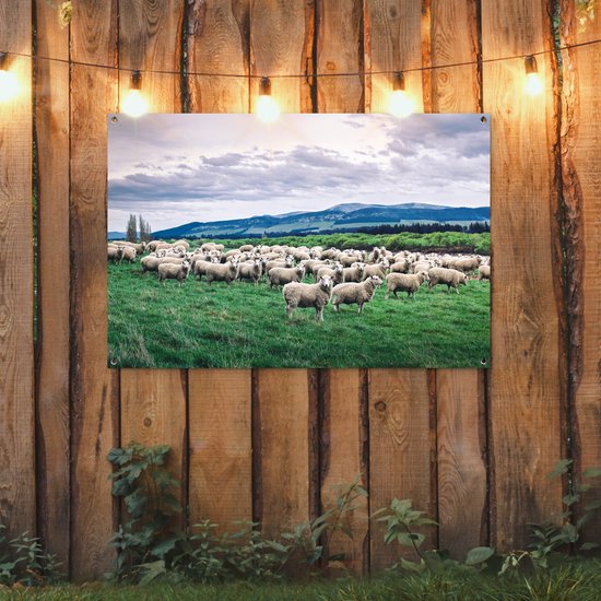 Tuinposter 120x80 cm - Tuindecoratie Schapen - Natuur - Gras - Poster voor in de tuin - Buiten decoratie - Schutting tuinschilderij - Tuindoek muurdecoratie - Wanddecoratie balkondoek
