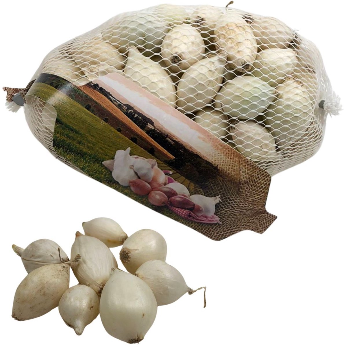 Plantuien Snowball 250g