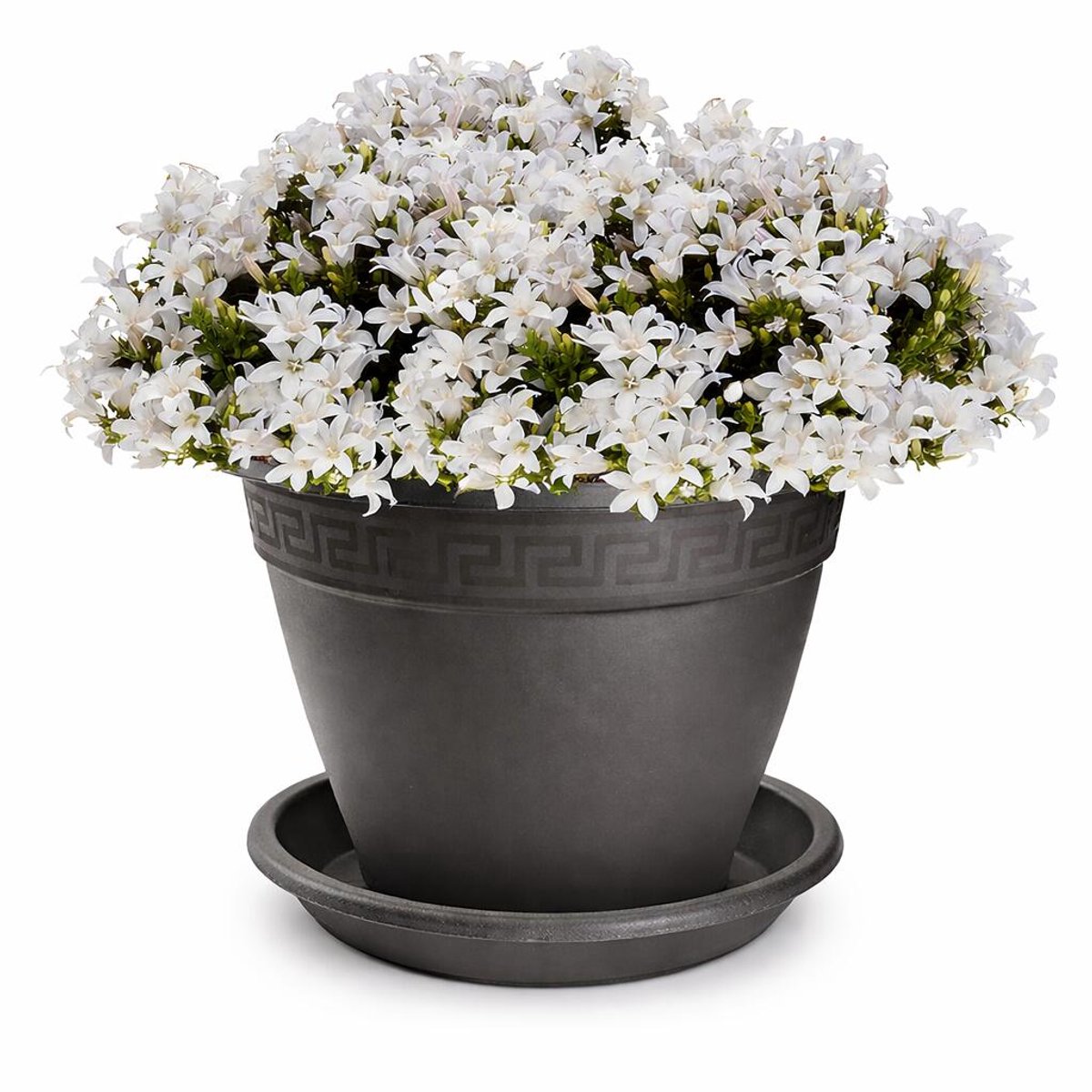 Plasticforte plantenpot met opvang schaal - antraciet - rond - D20 x H15 cm - kunststof - buiten - tuin - bloempot