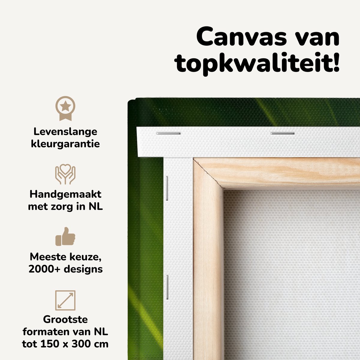 Canvas schilderij 80x120 cm - Wanddecoratie Tak gevuld met bladeren - Muurdecoratie woonka