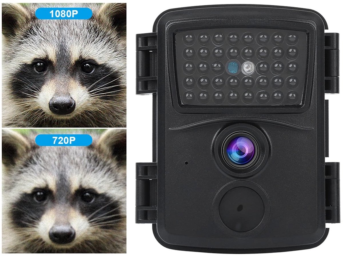 Dailygoods - Dailygoody - Trailcamera - Nachtzicht - Eenvoudige installatie - 1080P - Dierenobservatie - Voor buitengebruik - 12MP