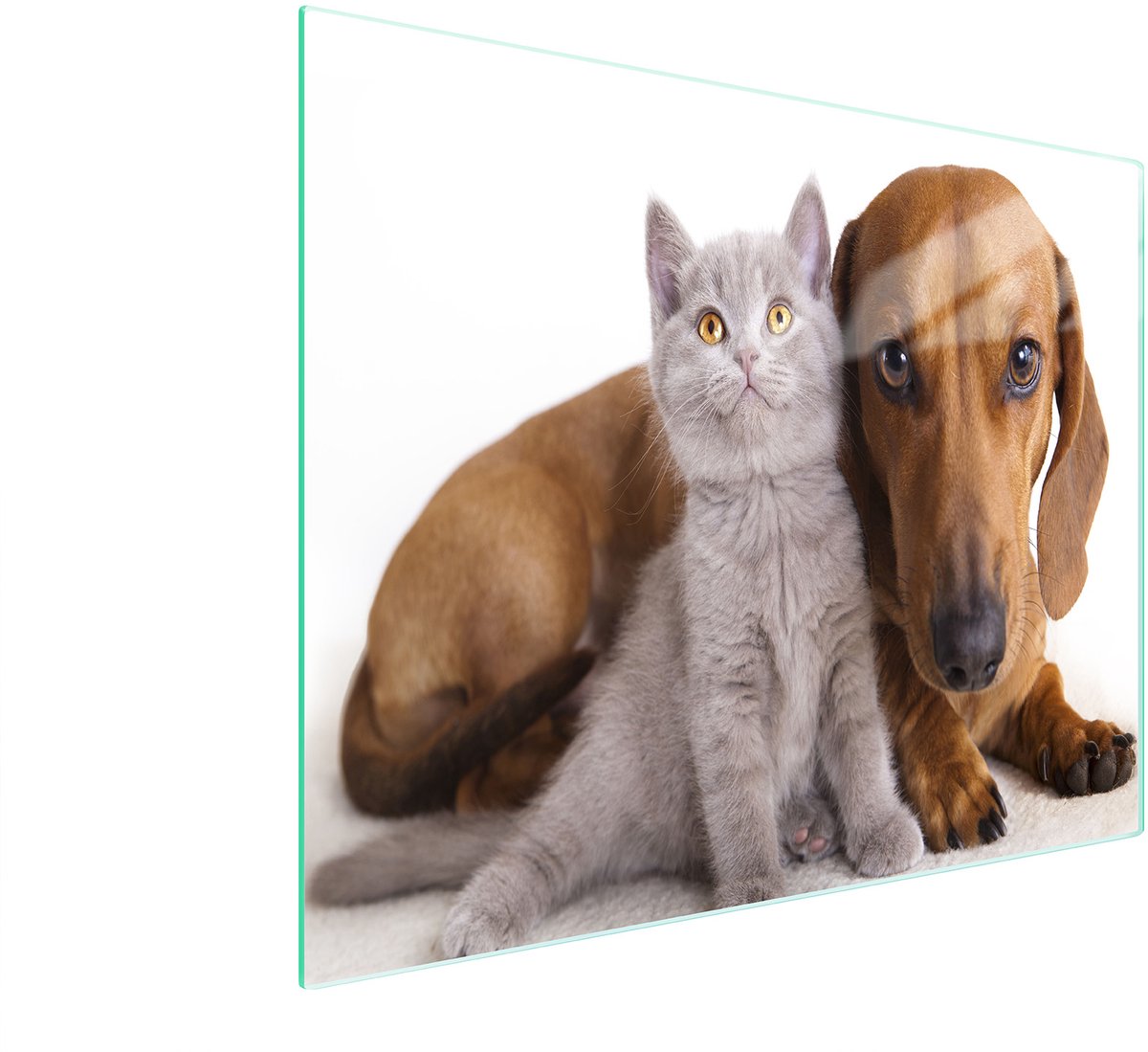 TMK ArtDeko - Snijplank - 52x30 cm - Dierenmotief - Gehard Glas