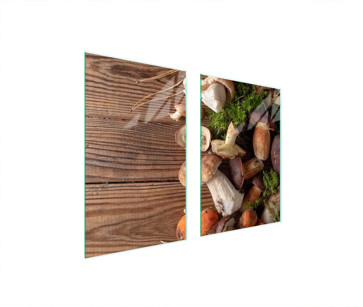 TMK ArtDeko - Beschermende Glazen Plaat - 65x52cm - Motief Grzyby
