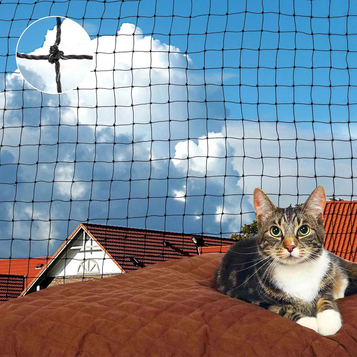 Kattennet voor balkon, 2 x 3 m, draadversterkt, balkonnet, robuust, beet- en scheurvast, uv-bestendig, met bevestigingskoord, spijkers, kattenbeschermingsnet voor balkons, terrassen en ramen