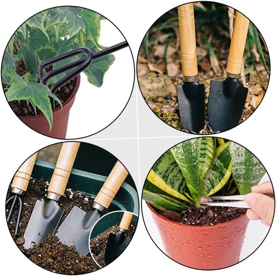 Mini Tuinset - Succulent Gereedschap - Planten Verzorgen - Ergonomisch Ontwerp - 10 Delig - Assorti van MINI — afbeelding 4