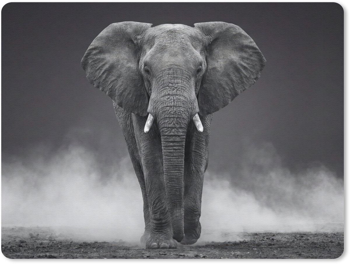 Muismat 12x10 cm - Mousepad Olifant - Zwart - Wit - Rook - Muismatten