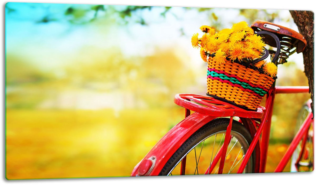 TMK ArtDeko - Snijplank - Glazen Beschermplaat - Fiets - 52x30cm