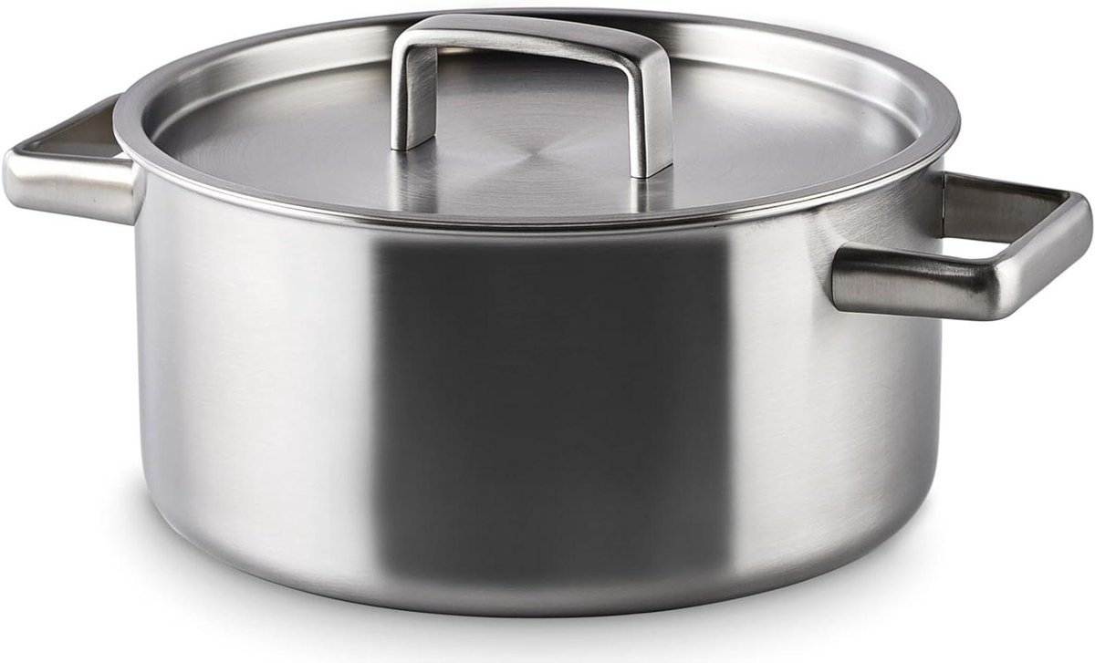 Kookpan met deksel - Sauspan pan - Lekker koken - Ovenbestendig materiaal - 22 cm - Zilverkleurig