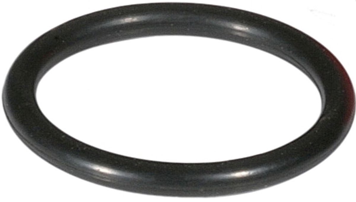 Resideo O-Ring 2506500 naar filterhuis F76S, DN100, 2506500