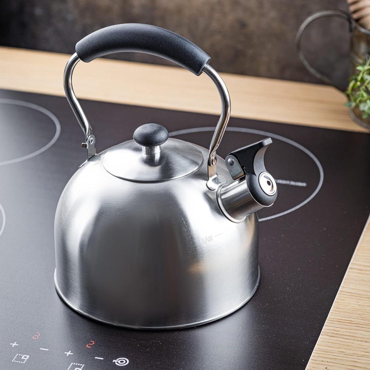 Stalen Waterkoker - Theepot Kookpan - Water Koken - Veilige Fluitfunctie - 2.5 Liter - Zilver