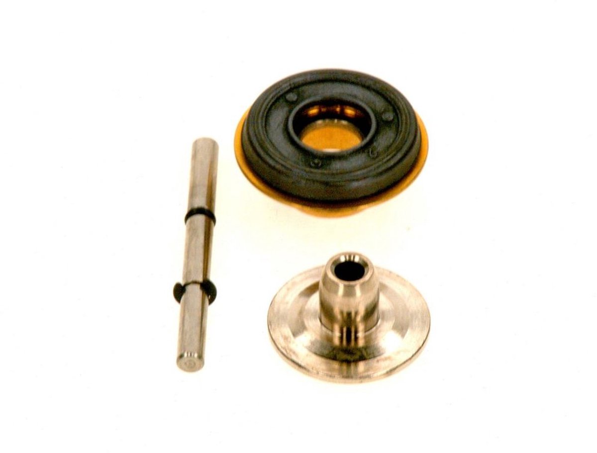 BOSCH Gasklep (2), 87085002440