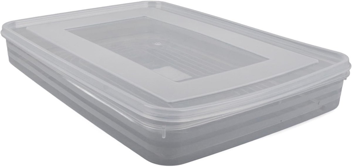 Dailygoods- Voedselopslag Container - Transparante Opbergdoos - Koelkast Organizer - Dumpling Box - Grote Capaciteit - Luchtste Structuur