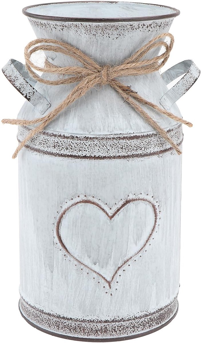 Dailygoods- Bloemenvaas Vintage - Shabby Bloempot - Metalen Gieter - Decoratieve Emmer - U