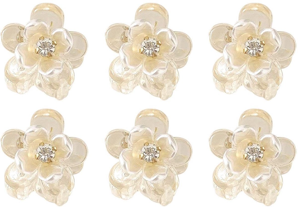 Dailygoods - Set van 6 Mode Haarclips met Strass