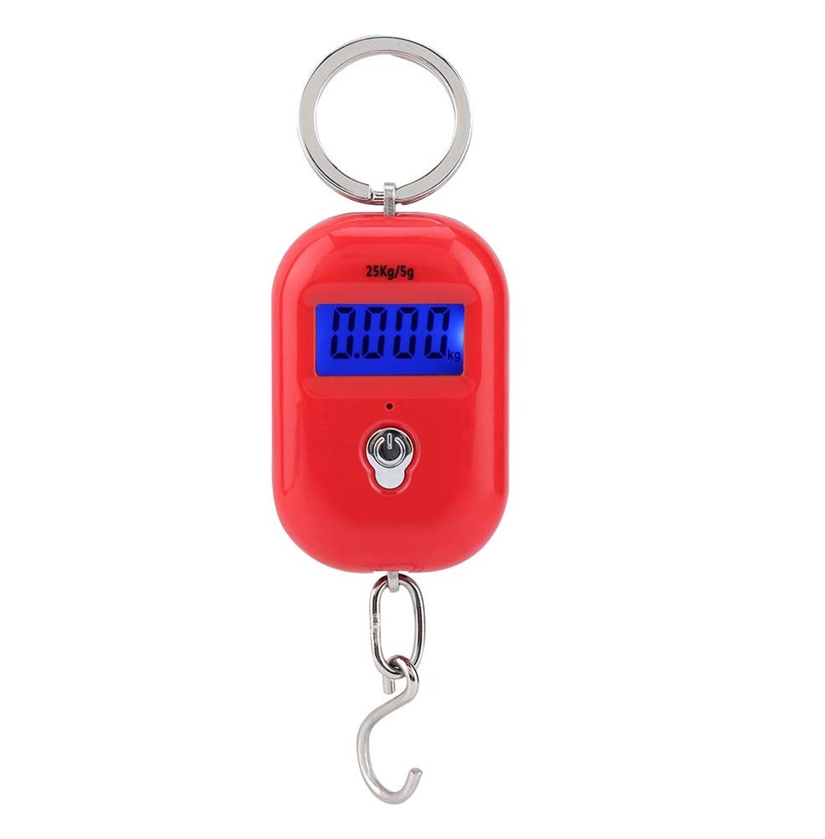 Dailygoods - Dailygoody - Mini Digitale Weegschaal - Pocket Weegschaal tot 25kg - Compact en Draagbaar - Nauwkeurige Gewichtmeting - Handige Keuze - Ideaal voor Re