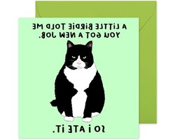 Central 23 - Grappige nieuwe banenkaart - 'A Little Birdie... New Job' - Brutale nieuwe baan kaart voor haar - felicitatiekaart voor haar - wordt geleverd met leuke stickers
