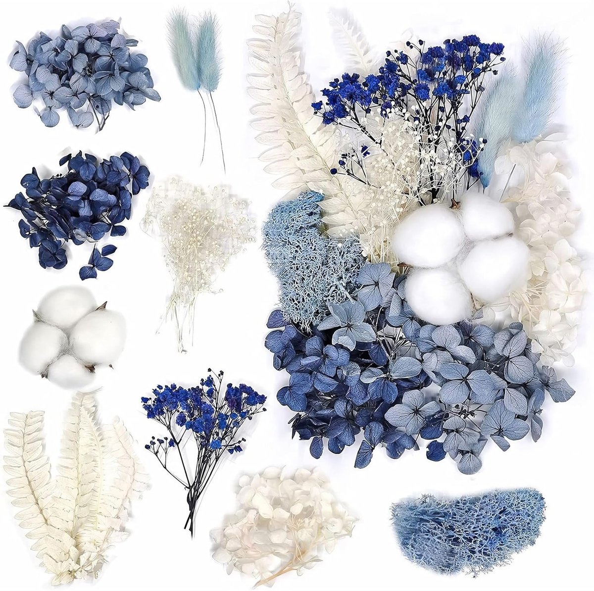 Set met Gemengde Natuurlijke Gedroogde Bloemen voor Hars Sieraden, Ambachten en Scrapbooki