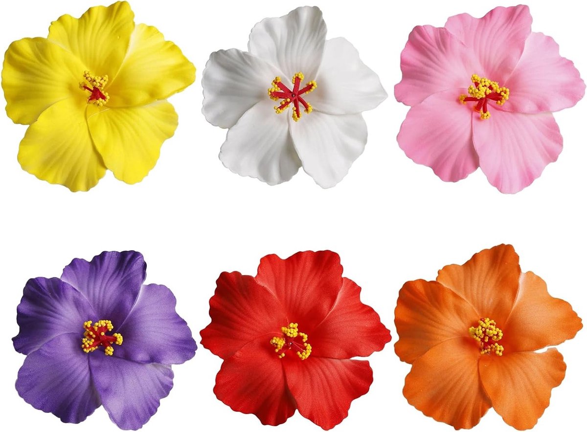 Set van 6 kleurrijke bloemen haarclips voor vrouwen en meisjes, perfect voor diverse kapsels en gelegenheden zoals strand, zomerfeest en festivals