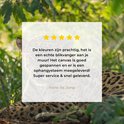 Een jaguar ligt in een jungle met tekst "De kleuren zijn prachtig, het is een echte blikvanger aan je muur! Het canvas is goed gespannen en er is een ophangsysteem meegeleverd! Super service & snel geleverd. Irene de Jong".