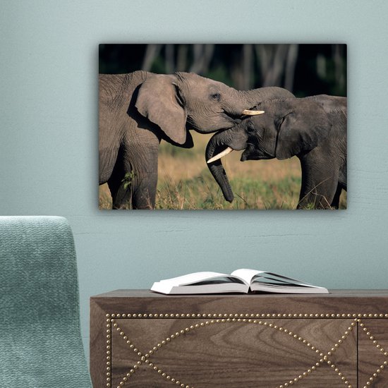 Toile d'éléphants gambadeurs 2cm 30x20 cm - petit - Tirage photo sur toile (Décoration murale salon / chambre) / animaux sauvages Peintures sur toile