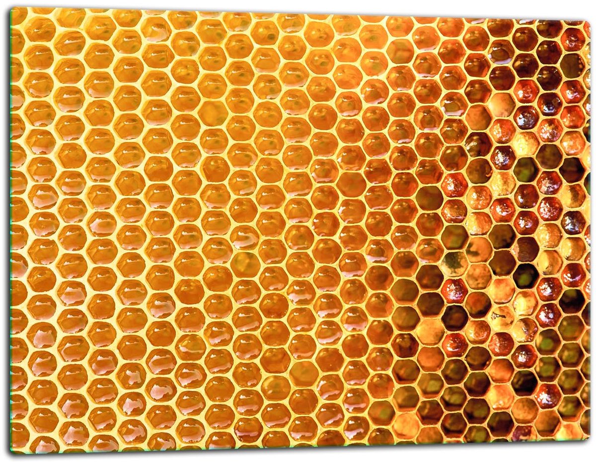 TMK ArtDeko 7w1 Serie - Glazen Snijplank - 52x40 cm - Kleurrijk - Veilig - Multifunctioneel