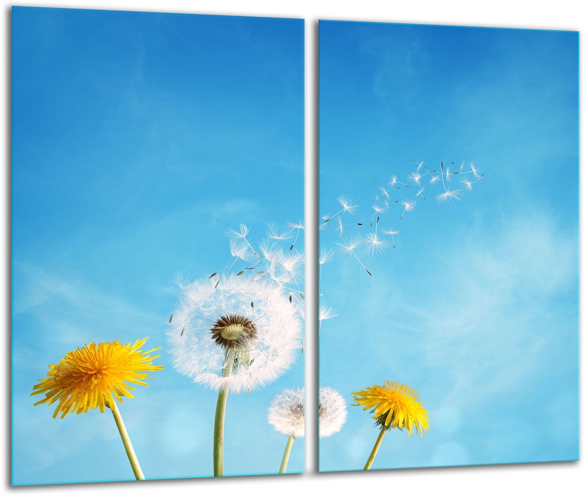 TMK ArtDeko - Snijplank - 2x 30x52 cm - Kleur: Bloemen - Glas