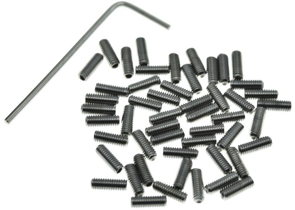 Image of 100-Pack M3x8mm RVS Hoogte Verstelbare Schroeven voor Gitaarbrug - Geschikt voor Fender Stratocaster en Telecaster