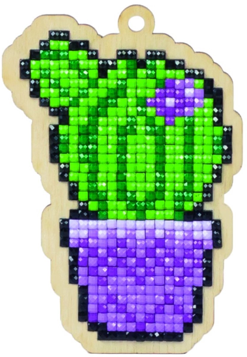 Wizardi Cactus