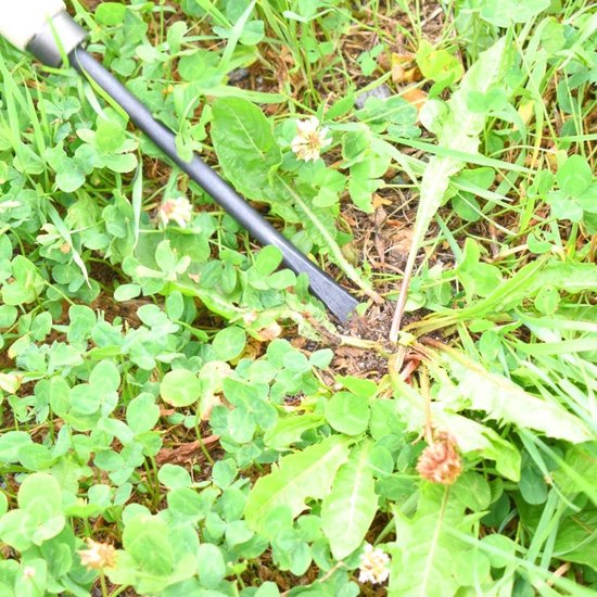 Onkruidsteker Essenhout - Wortelonkruid Verwijderaar - Onkruid uit gazon - Handgesmeed Kwaliteitsstaal - 36 cm Lengte - Natuurlijk — afbeelding 2