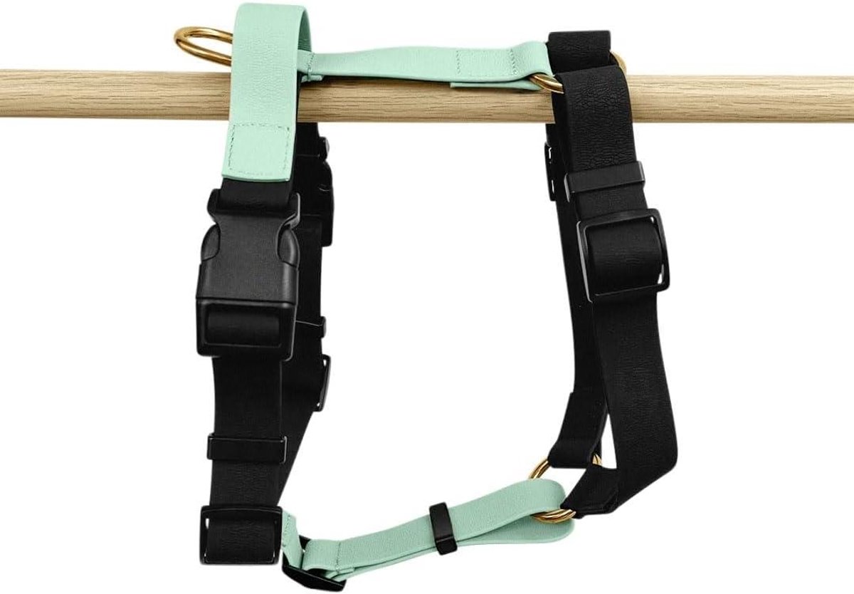 Hondentuig Outdoor - Borstharnas Hond - Hond Uitlaten - 5-voudig Verstelbaar - L/XL - Zwart/Mint