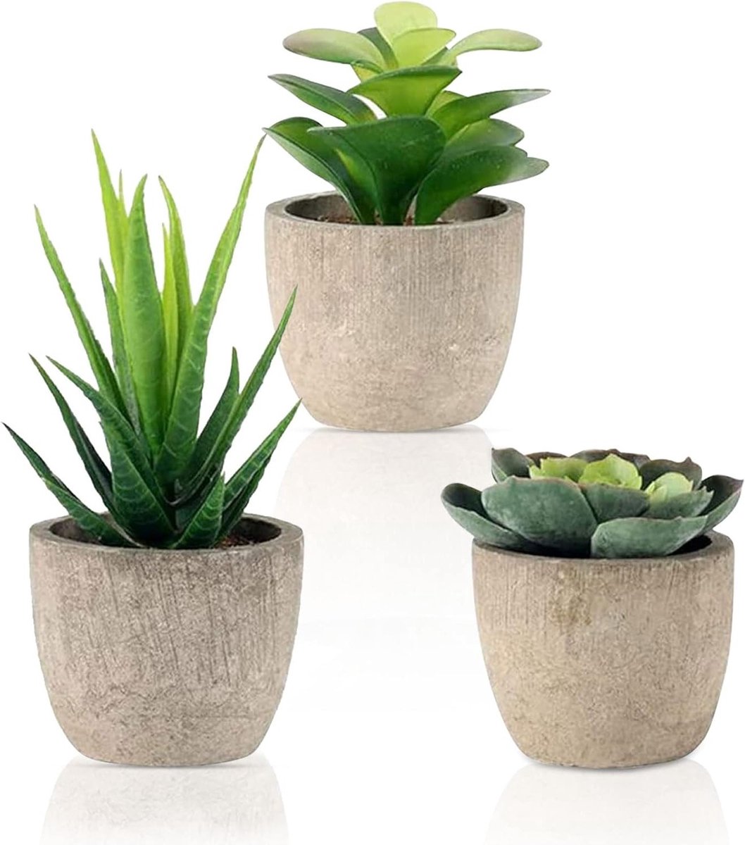 Set van 3 Nepplanten - Kunstmatige Succulenten en Bonsai in Pot - Aesthetic Decoratie voor Woonkamer, Balkon en Slaapkamer, Perfect als Cadeau