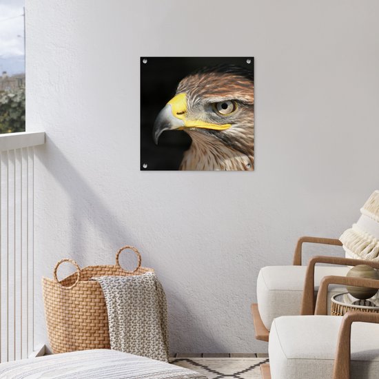 Posters de jardin Buse - Vogel - Zwart - 50x50 cm