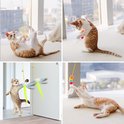 Collage van katten die spelen met diverse hangende speelgoedjes: libellen, pompons en veren.