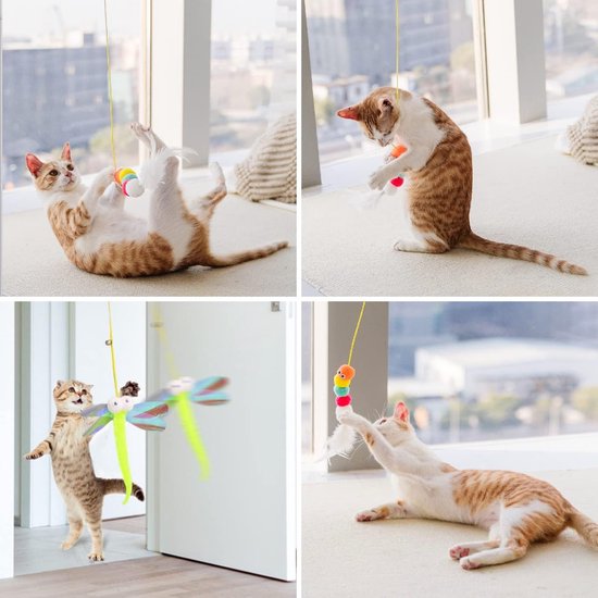 Collage van katten die spelen met diverse hangende speelgoedjes: libellen, pompons en veren.