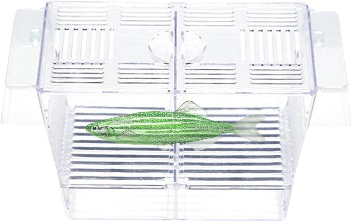Kweekbox Vissen - Isolatiebak Aquarium - Vis Kweek Bescherming - Drijvend of Bevestigbaar - 23 x 11 x 10 cm