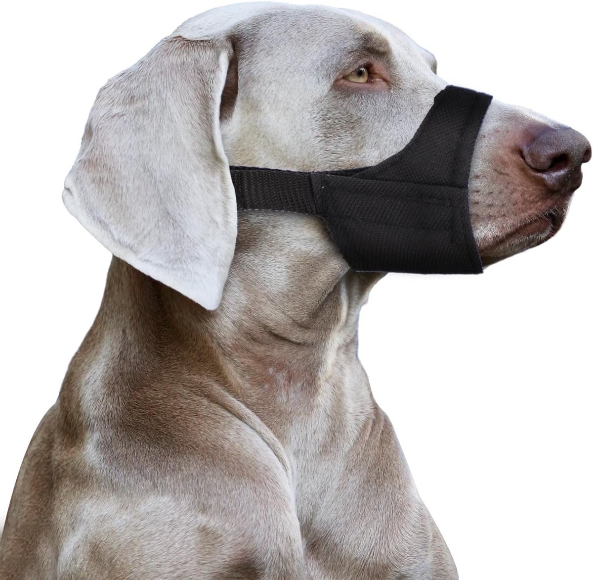 Hondenmuilkorf voor kleine en middelgrote honden - Voorkomt bijten en blaffen - Veilig voor Chihuahua en Shih Tzu - Snuitomtrek 21-24,1 cm, ademend en comfortabel