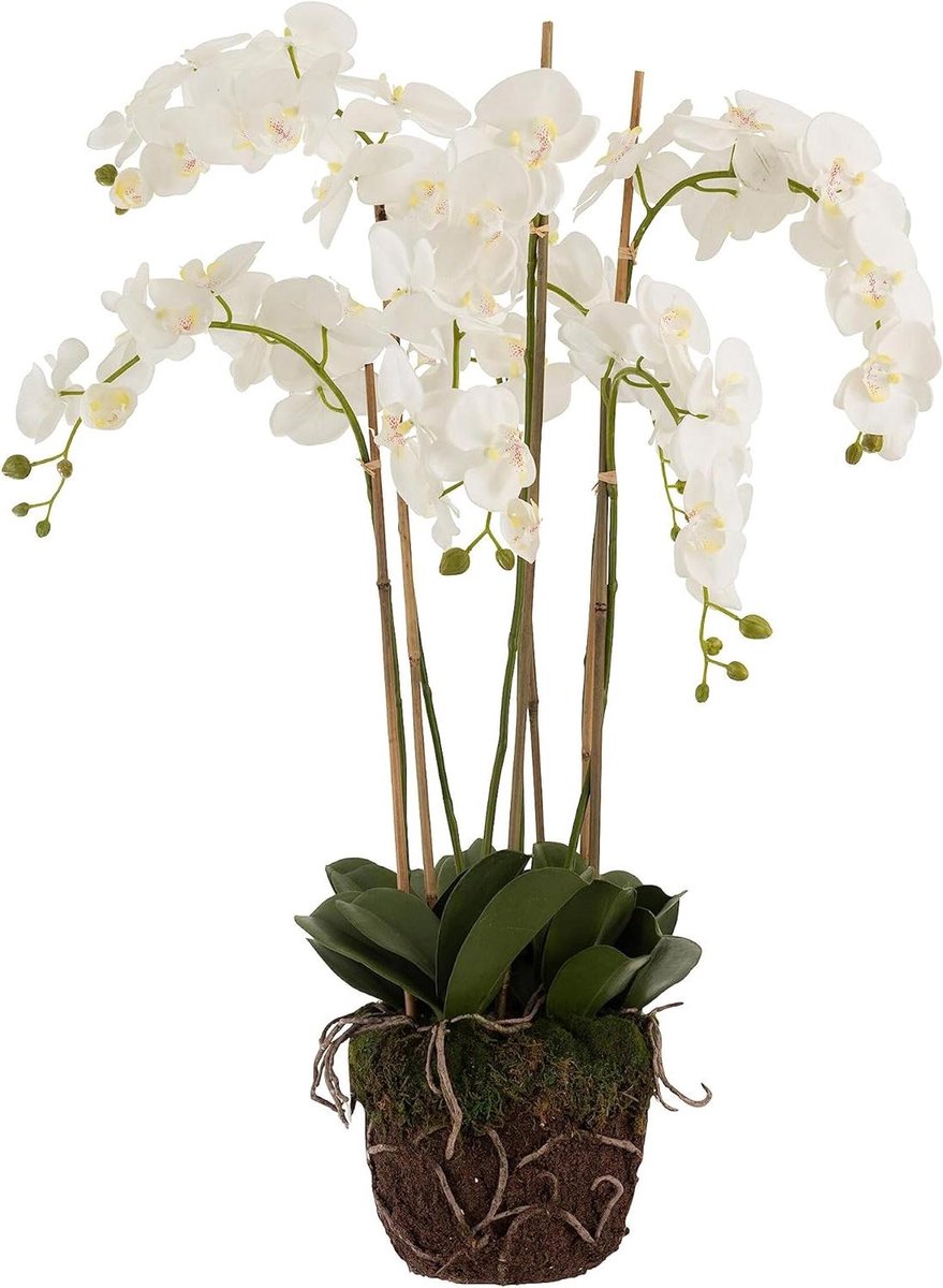 Kunstorchidee in aarde - Planten decoratie - Huis decoreren - Extra large formaat - Niet gespecificeerd - Wit groen