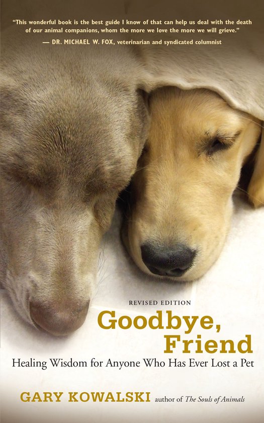 Goodbye, Friend - cover