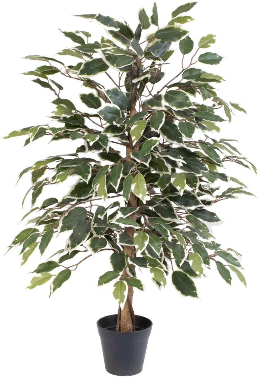 Florafy Kunstplant Ficus Benjamina Variegata 85cm - Kunstplanten voor binnen - Onderhoudsvrij Groen