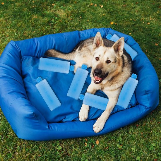 Koelgel ijszak - Herbruikbare koelelementen - Voedsel koel houden - Solide waterdichte constructie - 114 cm - Blauw — afbeelding 2