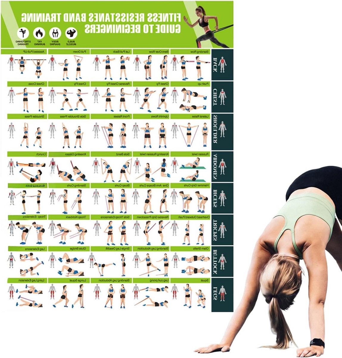 Workoutposter - Trainingskaart Oefeningen - Spieropbouw Vetverbranding - Geïllustreerde Bewegingsdetails - 76 cm - Meerkleurig