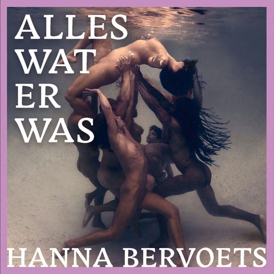 Alles wat er was - cover