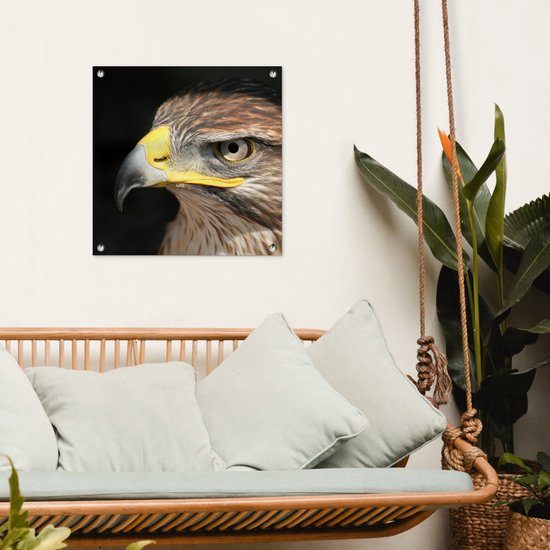 Posters de jardin Buse - Vogel - Zwart - 50x50 cm