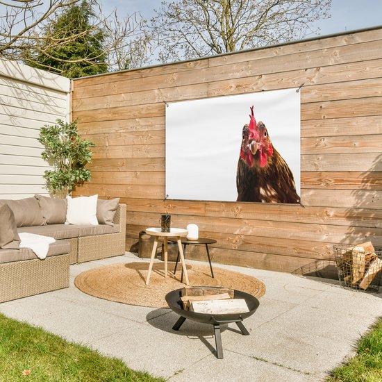 Affiche de jardin gros plan coq 120x80 cm - Toile de jardin / Toile d'extérieur / Peintures d'extérieur (décoration de jardin)