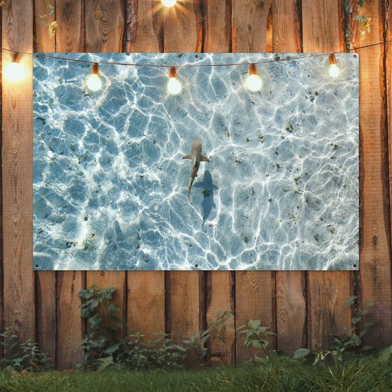 Décoration murale Requin en eau peu profonde - 180x120 cm - Poster de jardin