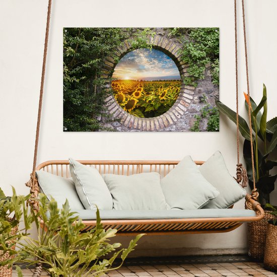 Affiche de jardin - Fleurs - Tournesols - TransparentSoleil - Nuages - Jardin - 120x80 cm - Décoration de jardin - Toile de clôture - Toile de jardin
