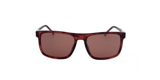 Carrera CARRERA 1136/S Brown horn 56/18/145 MAN Zonnebrillen van Carrera — afbeelding 3