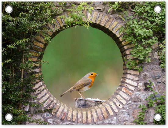 Tuinposter 40x30 cm - Tuindecoratie Vogel - Doorkijk - Roodborstje - Poster voor in de tuin - Buiten decoratie - Schutting tuinschilderij - Tuindoek muurdecoratie - Wanddecoratie balkondoek