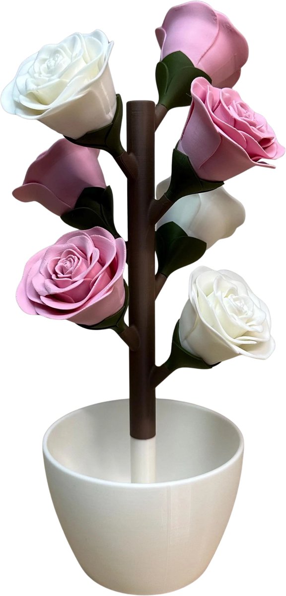 Roos Pillendoosje – 3D Geprint Week Pill Organizer met Magnetische Bloemen – Medicatie Box 7 Dagen (Roze - wit))