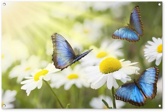 Tuinposter 120x80 cm - Tuindecoratie Bloemen - Vlinders - Zomer - Poster voor in de tuin - Buiten decoratie - Schutting tuinschilderij - Tuindoek muurdecoratie - Wanddecoratie balkondoek